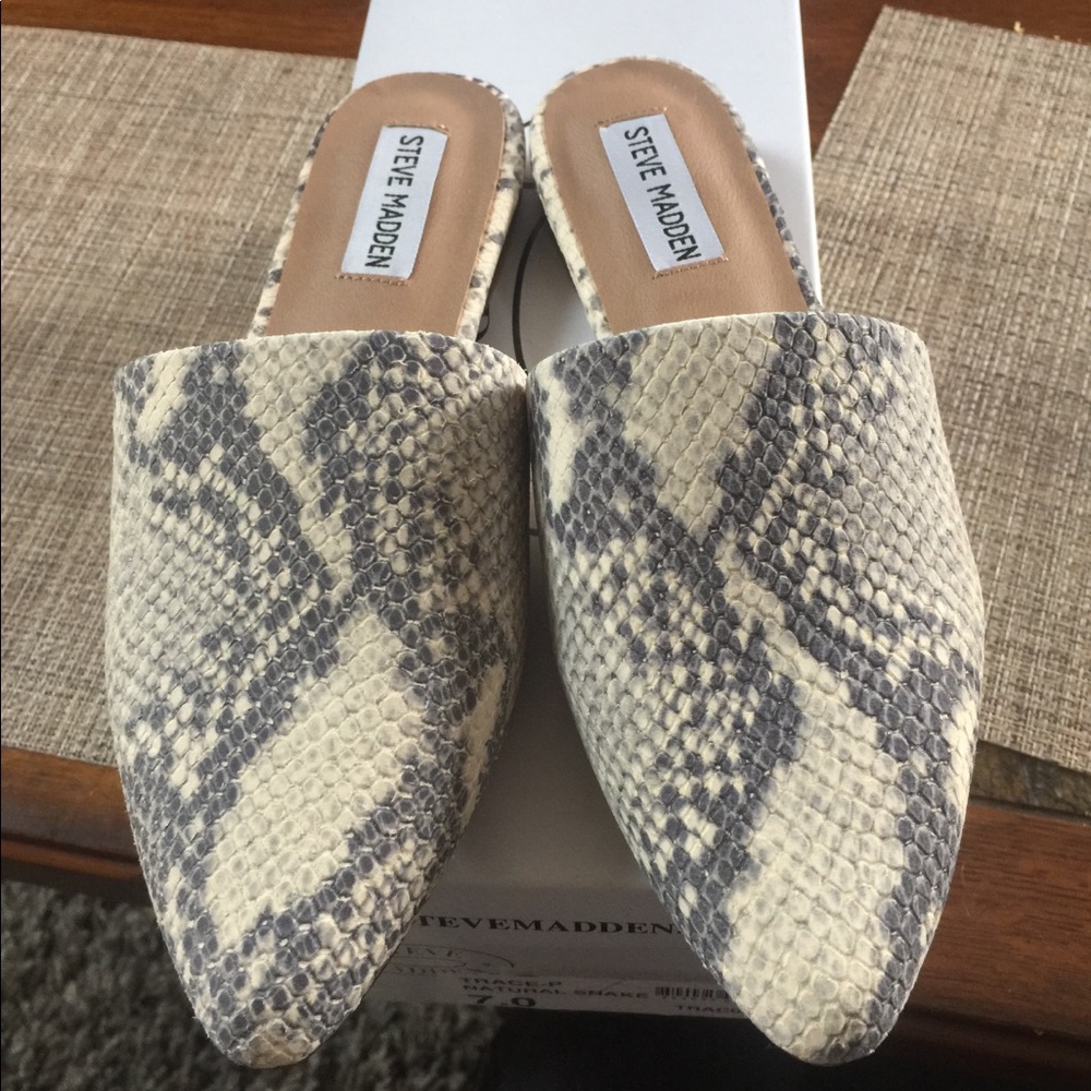 Steve Madden Trace-P mule